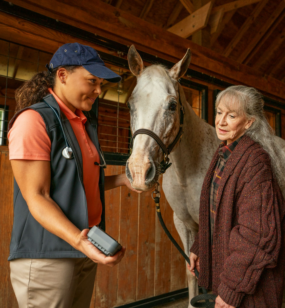 Veterinarian using a stall-side Stablelab reader