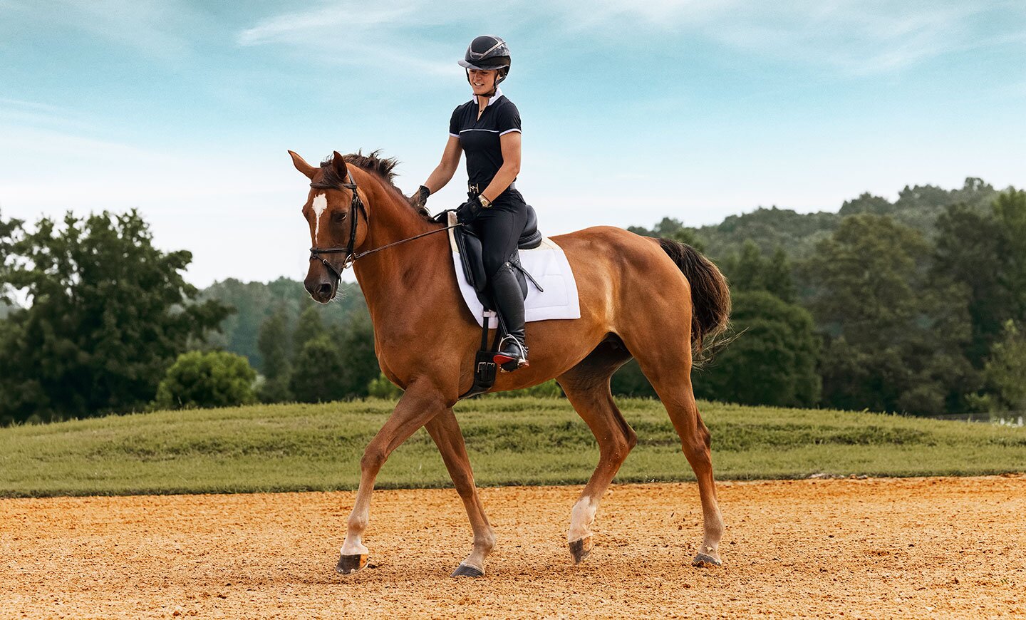 Yay or Neigh? Veterinarians Address Horse Health Myths Every Owner Should Know