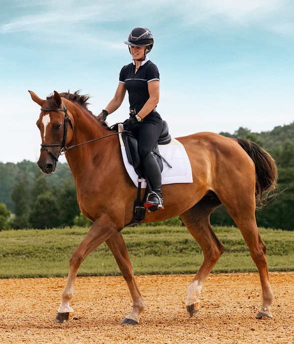 A rider on a horse in an outdoor arena