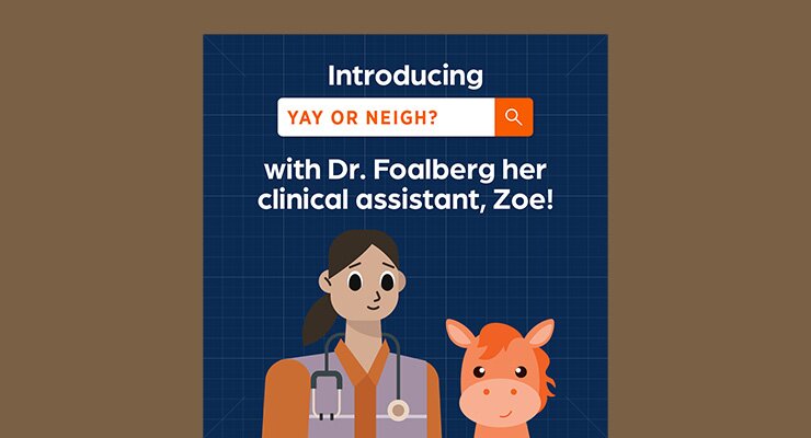 Yay or Neigh? social series with Dr. Foalberg and Zoe