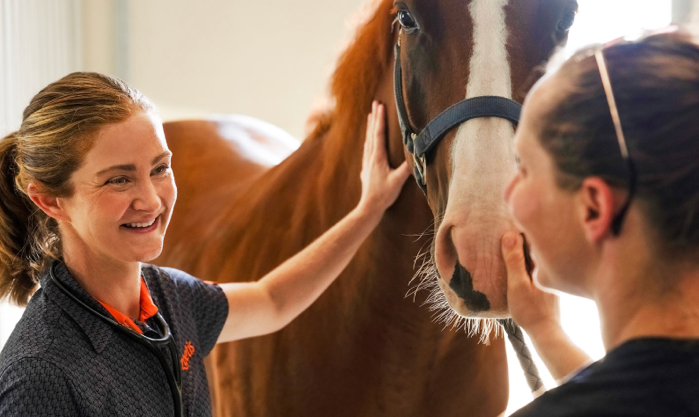 Inside Your Horse's Inner Circle: Voices from Your Equine Care Team