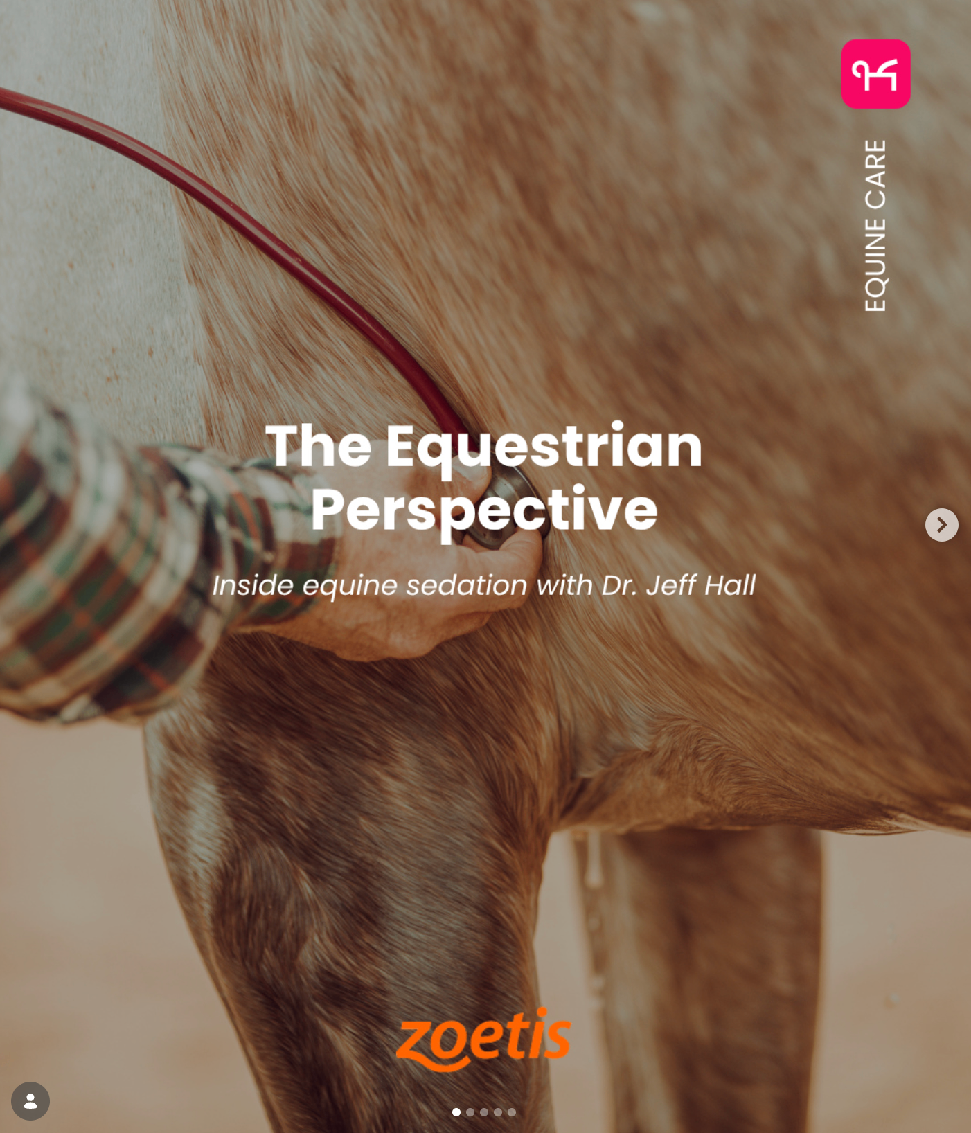 The Equestrian Perspective — partnership with Zoetis