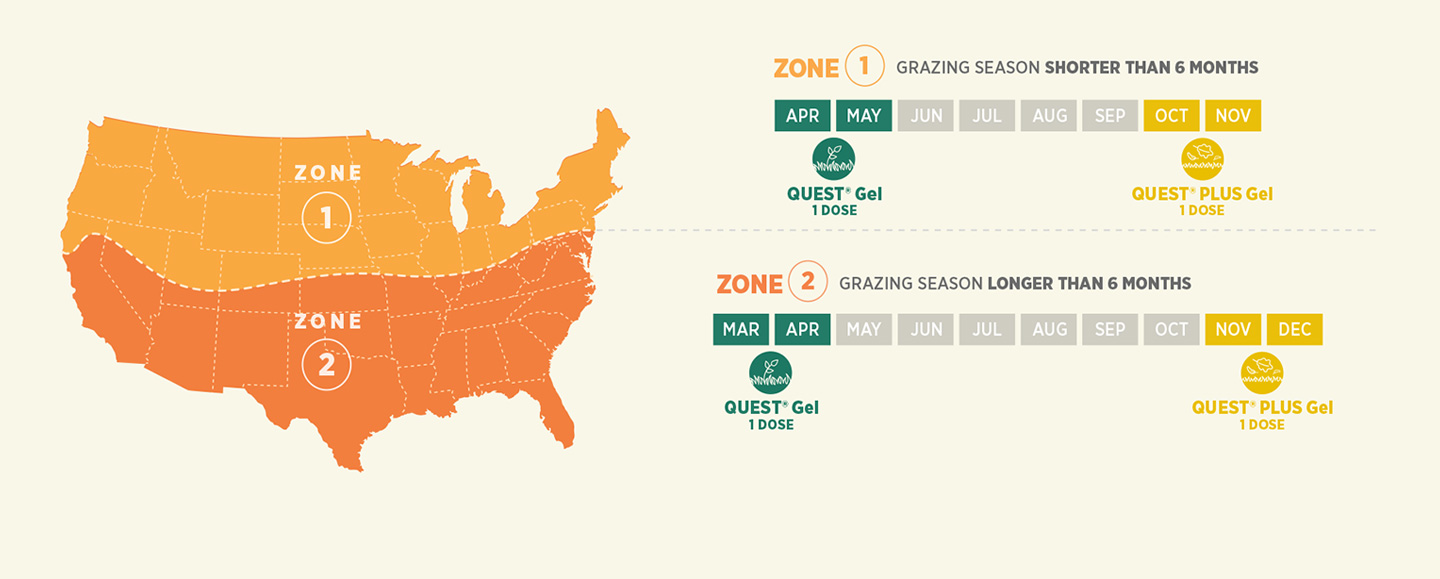 Adult horse deworming guide by grazing zone