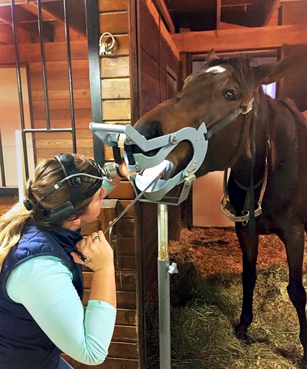 Dr. Hays performing a routine dental exam