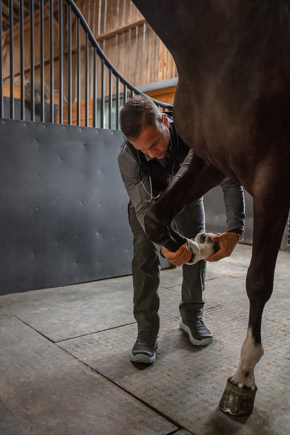Deworming a horse in the barn